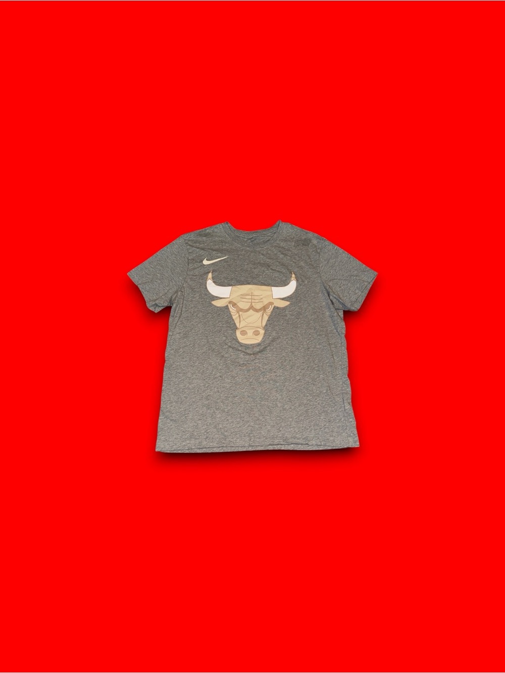 Nike Chicago Bulls Essential City Edition T-Shirt Mens Large Gray NBA HJ2581-063